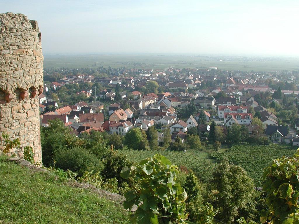 Altstadt-Residenz Manz Wachenheim an der Weinstraße Exterior foto